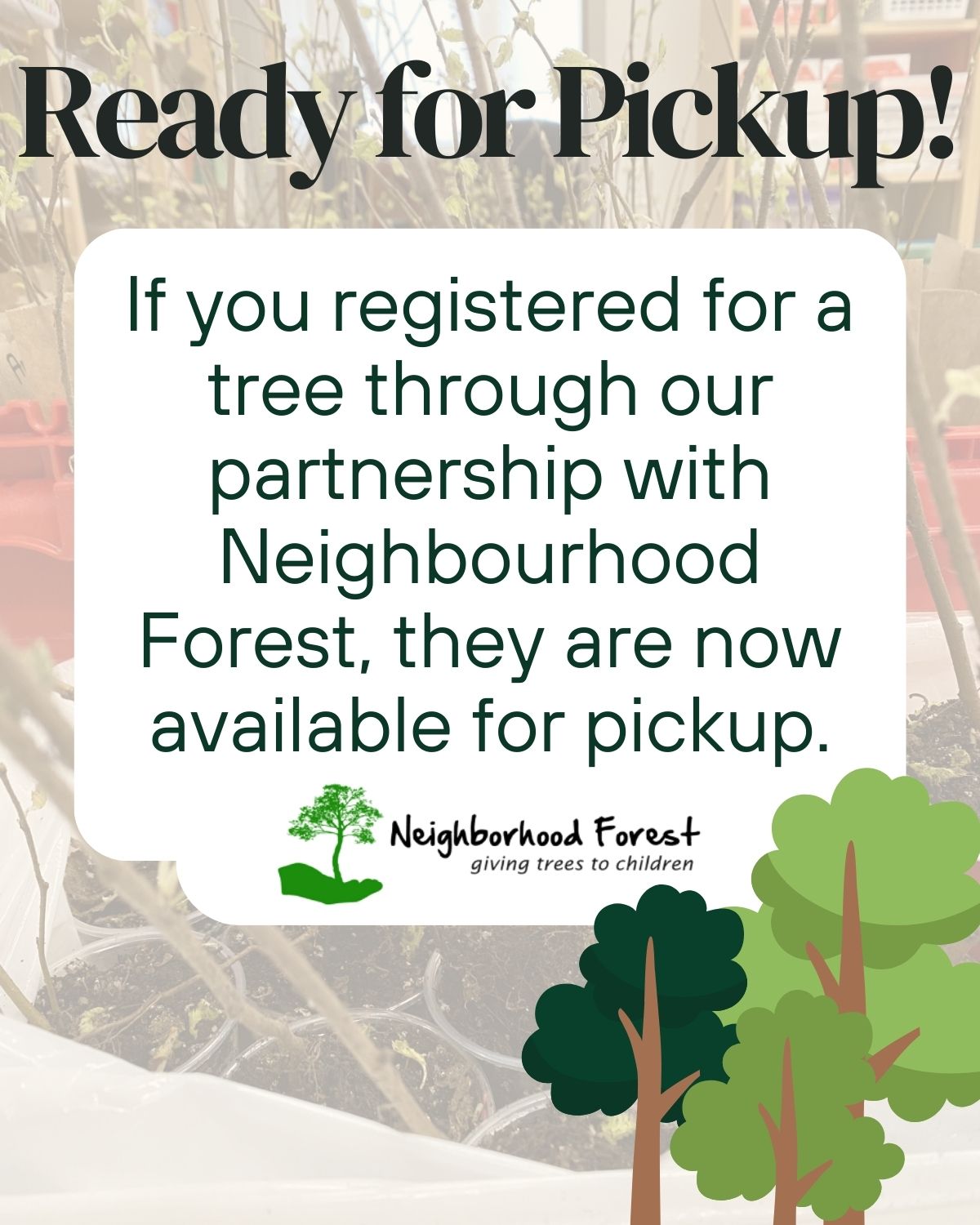 Trees are ready for pickup! If you registered for a tree through our partnership with Neighbourhood Forest, they are now available for pickup.