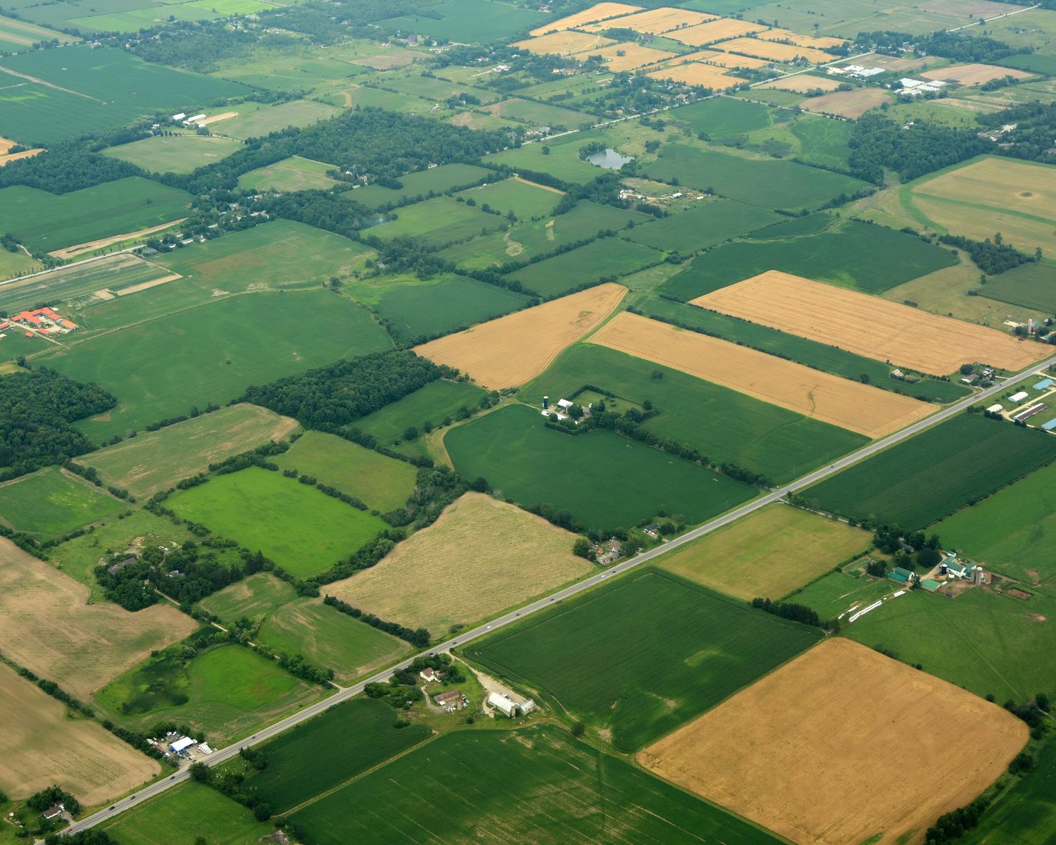 A birdseye view of fields, farms and segments of forest